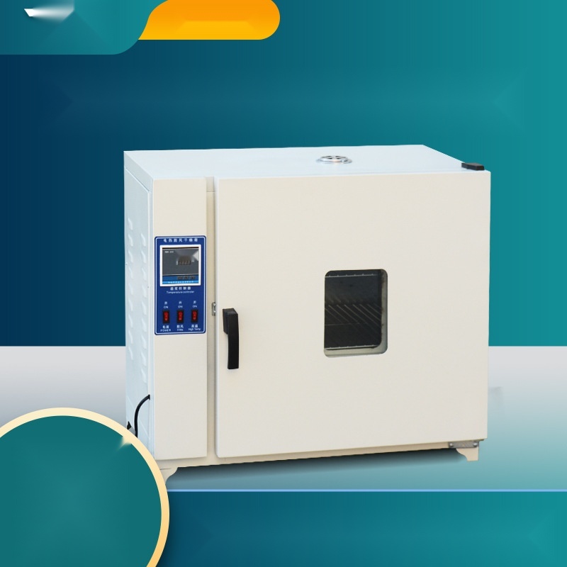 Thermostatic drying oven to Delhi