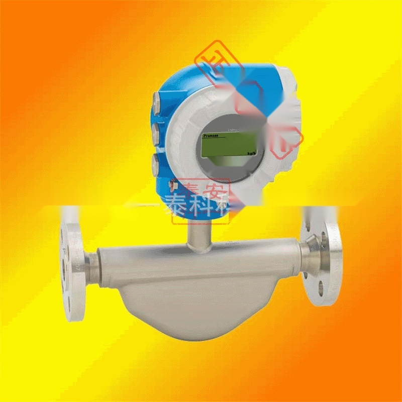 E+H mass flow meter to Kerala