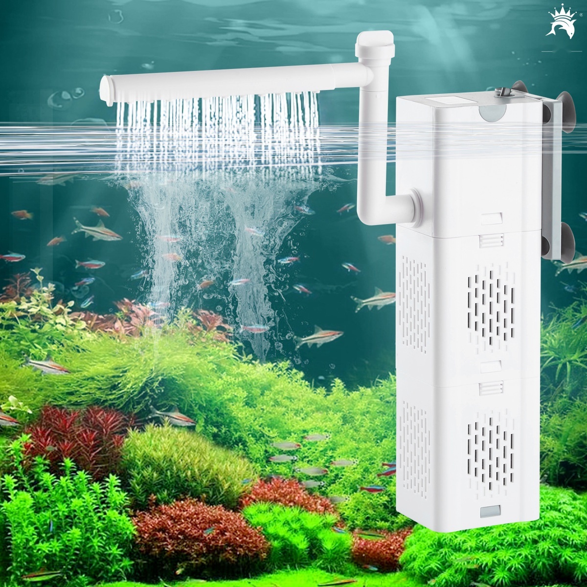 Aquarium filter to Dadra and Nagar Haveli