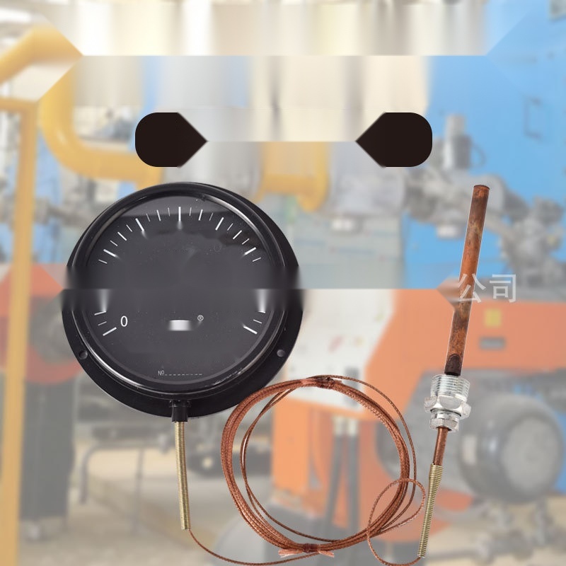 Bodefu WTQ-280 Pressure Thermometer to West Bengal