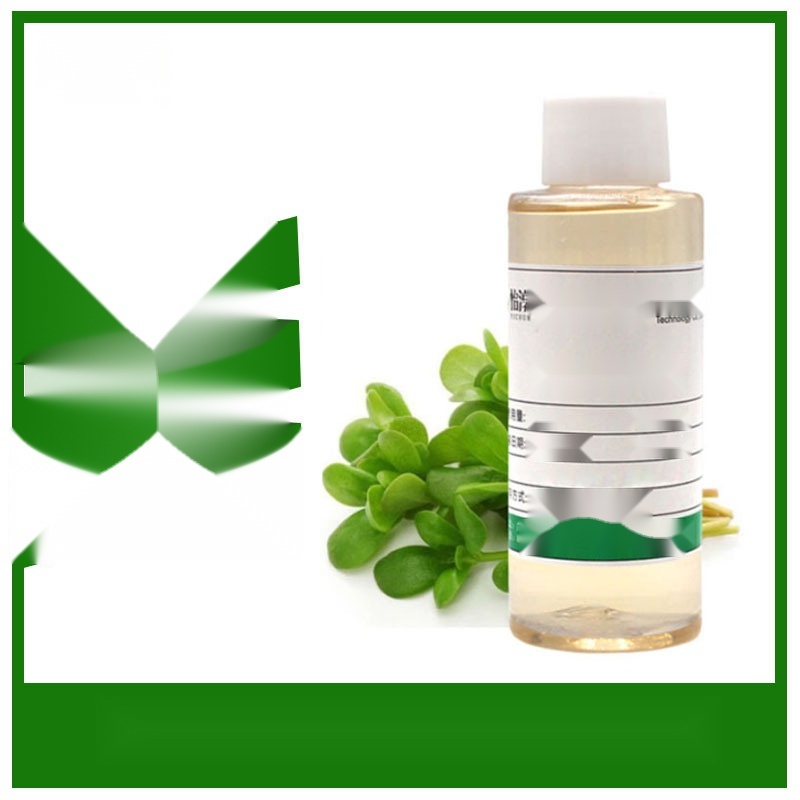 Purslane Extract to West Bengal