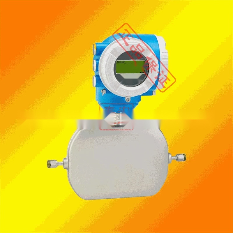 E+H mass flow meter to Goa