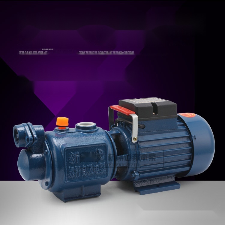 ZGD screw self-priming pump to Uttarakhand