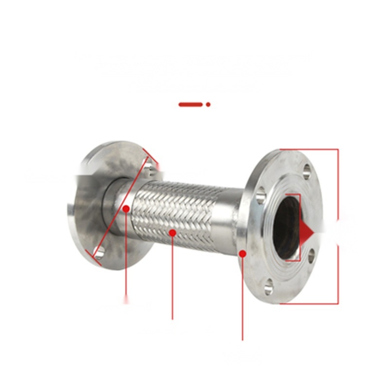 Stainless steel 316L metal hose to Punjab