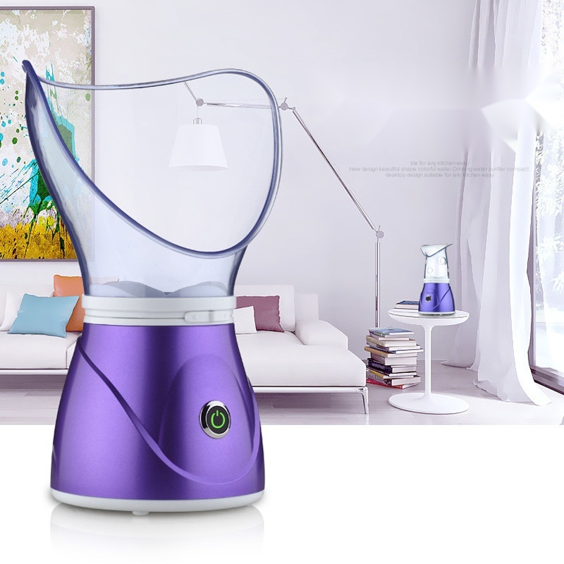Facial Steamer to Meghalaya
