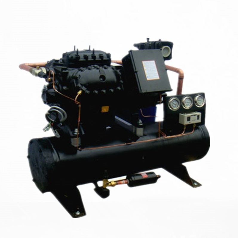 DMZL semi-closed compression condensing unit to Madhya Pradesh