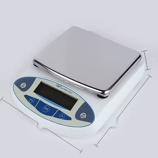 Electronic Scale to Rajasthan