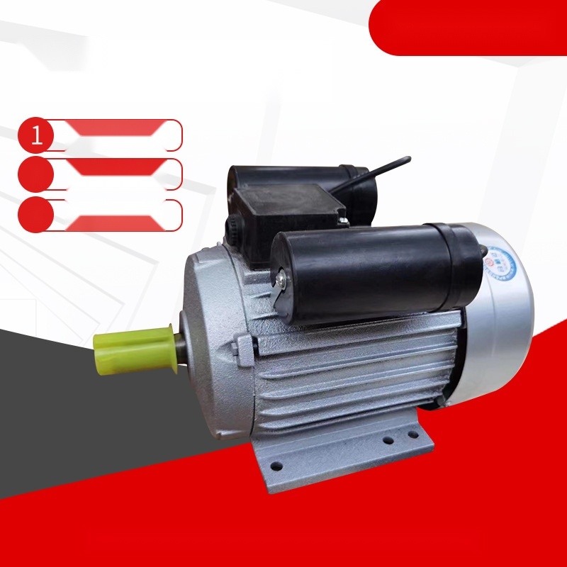 YL90L24 single-phase motor to Jharkhand
