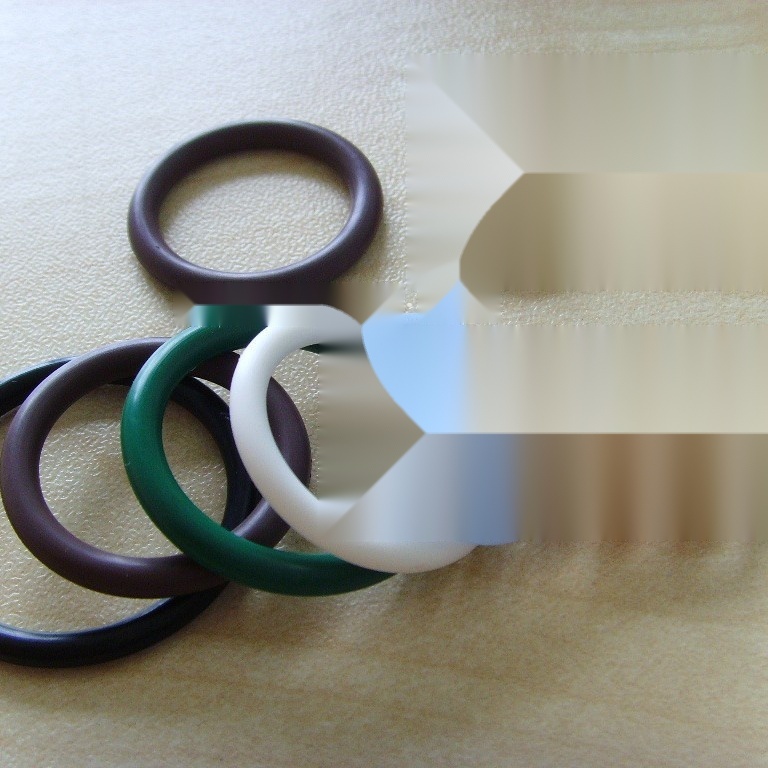 Perfluoroether sealing ring to Himachal Pradesh