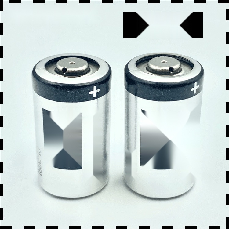 CR2 3V lithium battery to Madhya Pradesh