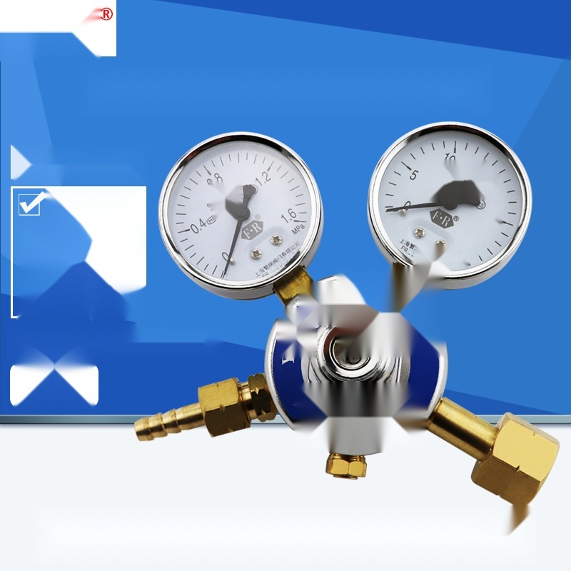 Fanrui hydrogen pressure reducing valve YQQ-352 to Jharkhand