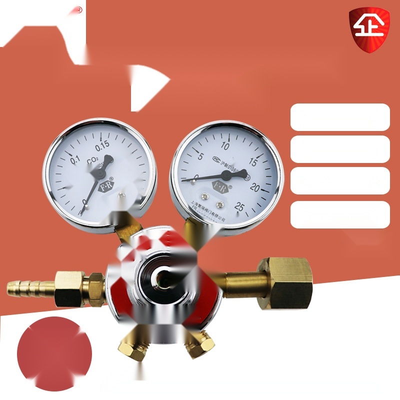 Shanghai Fanrui YQTS-711 adjustable pressure reducer to Rajasthan