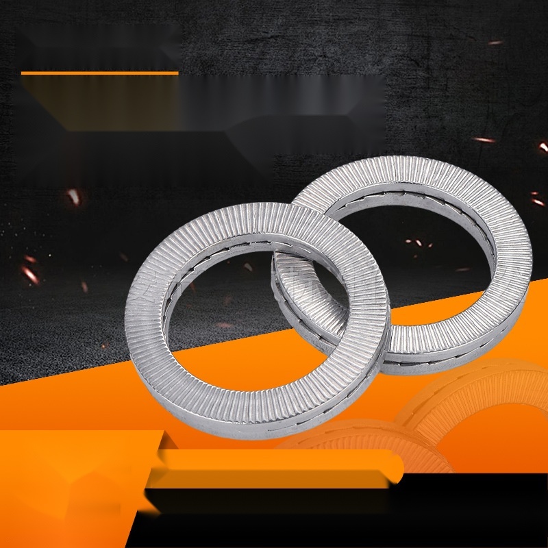 304 stainless steel double-lock washer to Kerala