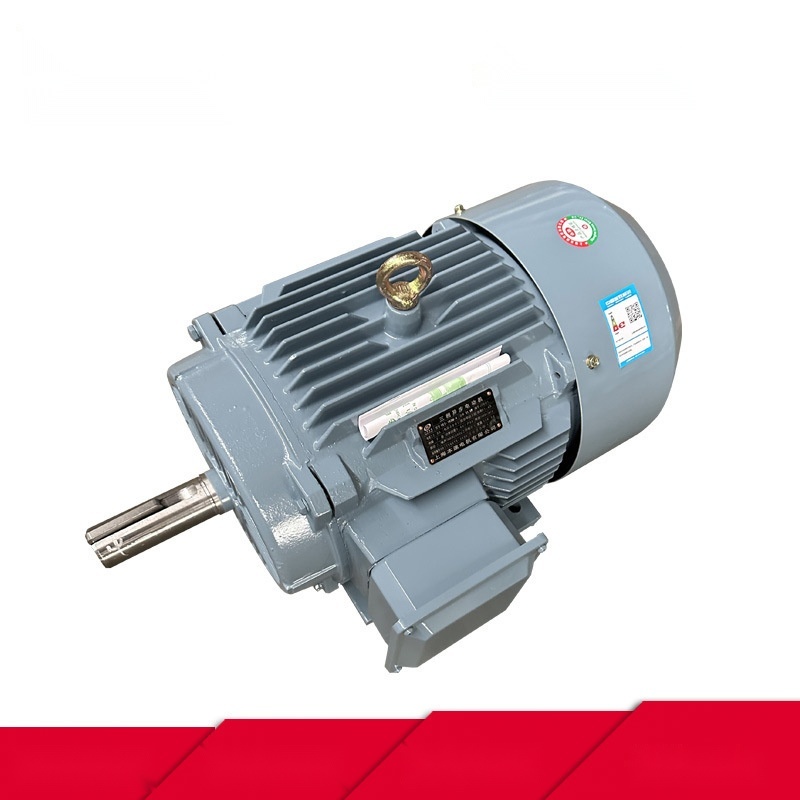 YE3112M-2 three-phase asynchronous motor to Daman and Diu