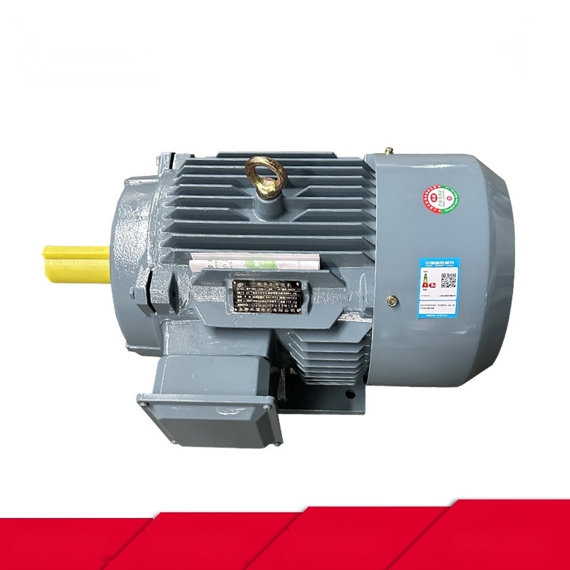 YE3-160L-4 Motor to Andaman and Nicobar Islands