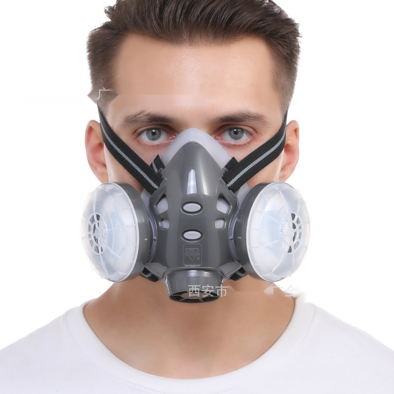 308P dust mask to Goa