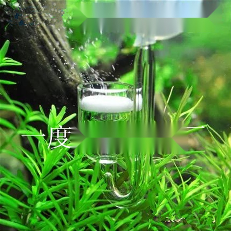 CO2 diffuser to Pondicherry