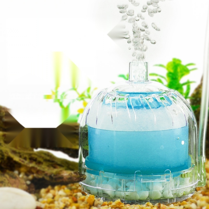 aquarium water filter to Himachal Pradesh