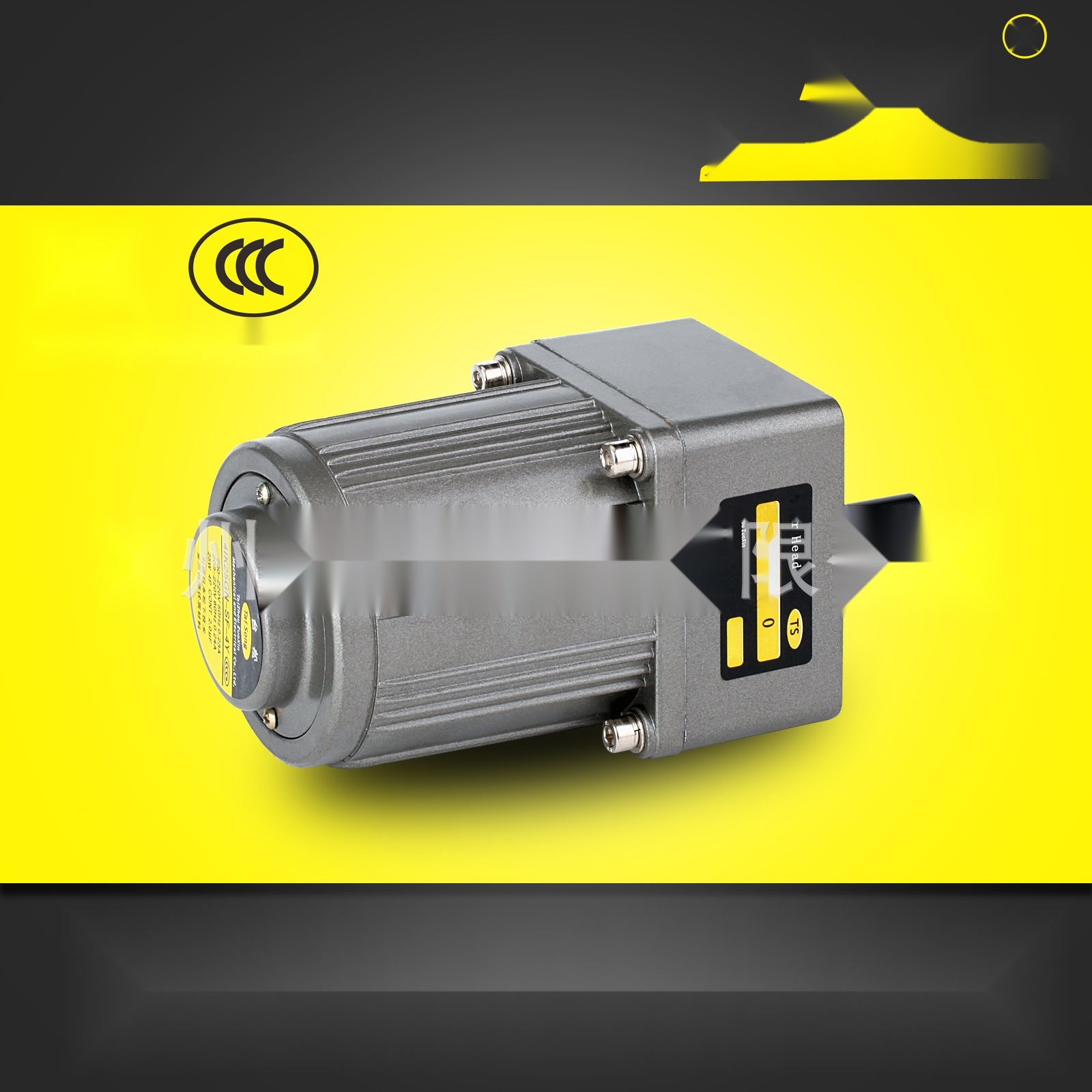 25W miniature AC asynchronous gear motor to Dadra and Nagar Haveli