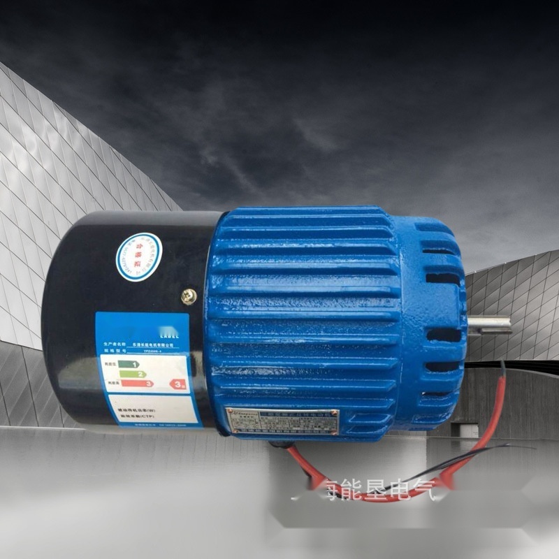 YPZ4508 YPZ6516 YPZ6532 reversible motor to Gujarat
