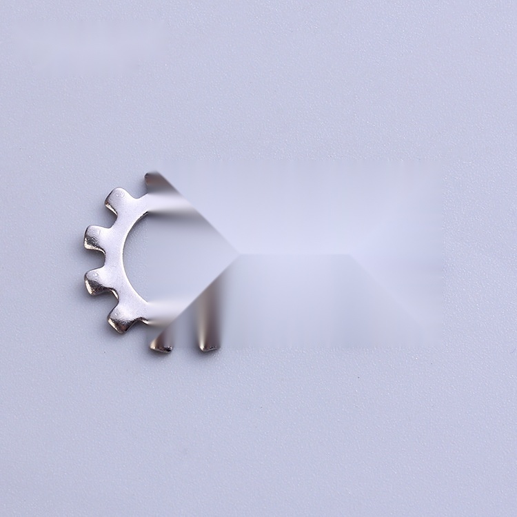 304 stainless steel external tooth washer GB862.1 to Jharkhand