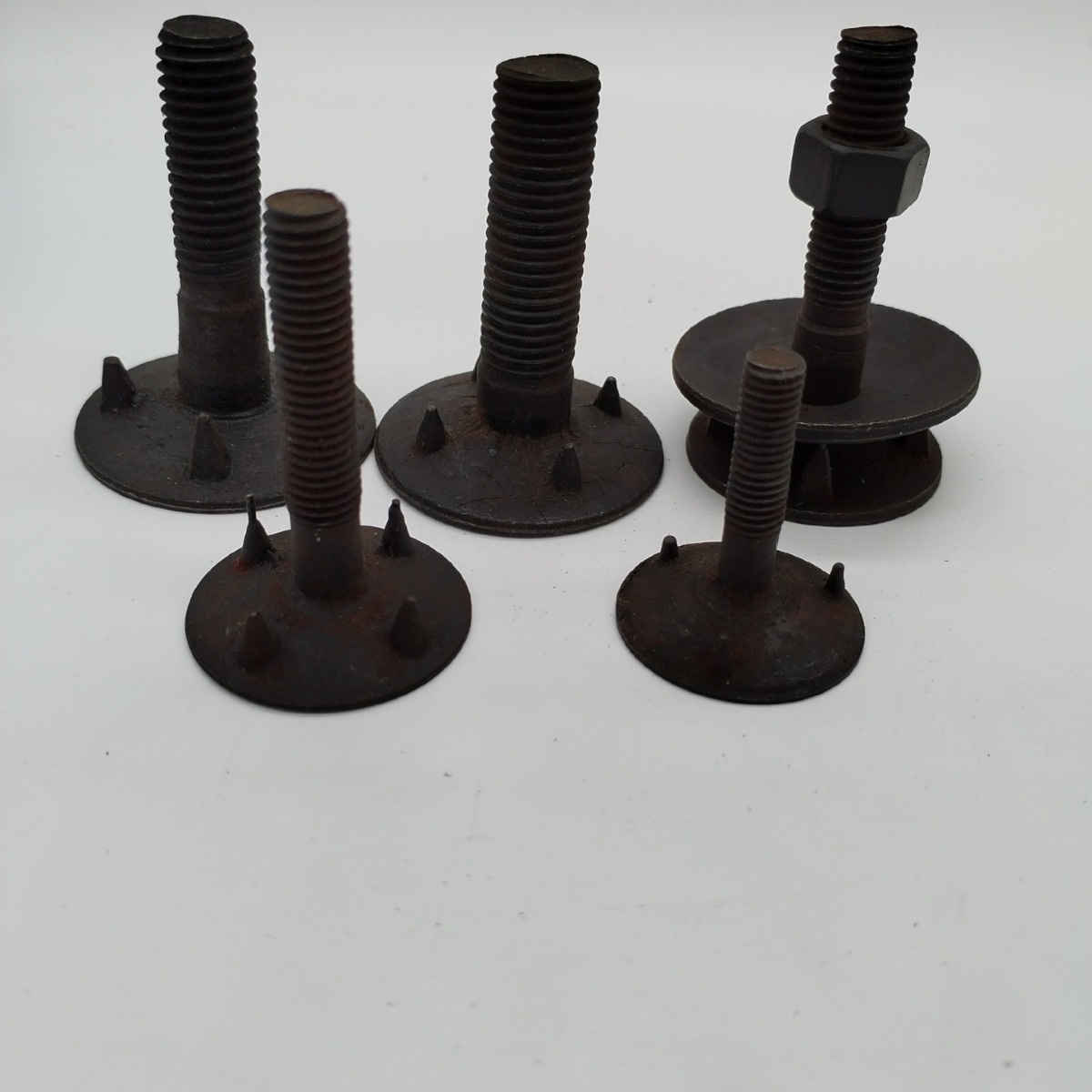 Belt screw to Meghalaya