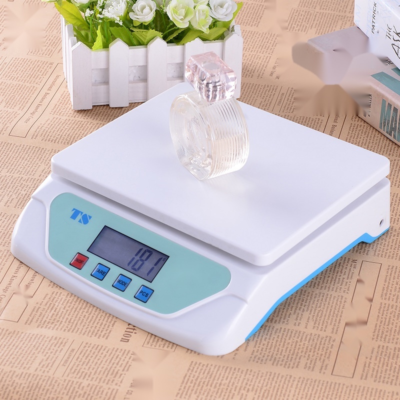 TS500 electronic kitchen scale to Chhattisgarh