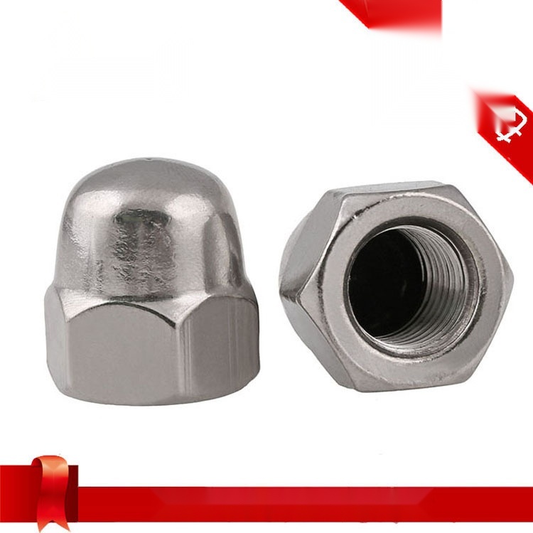 201 stainless steel cap nut to Madhya Pradesh
