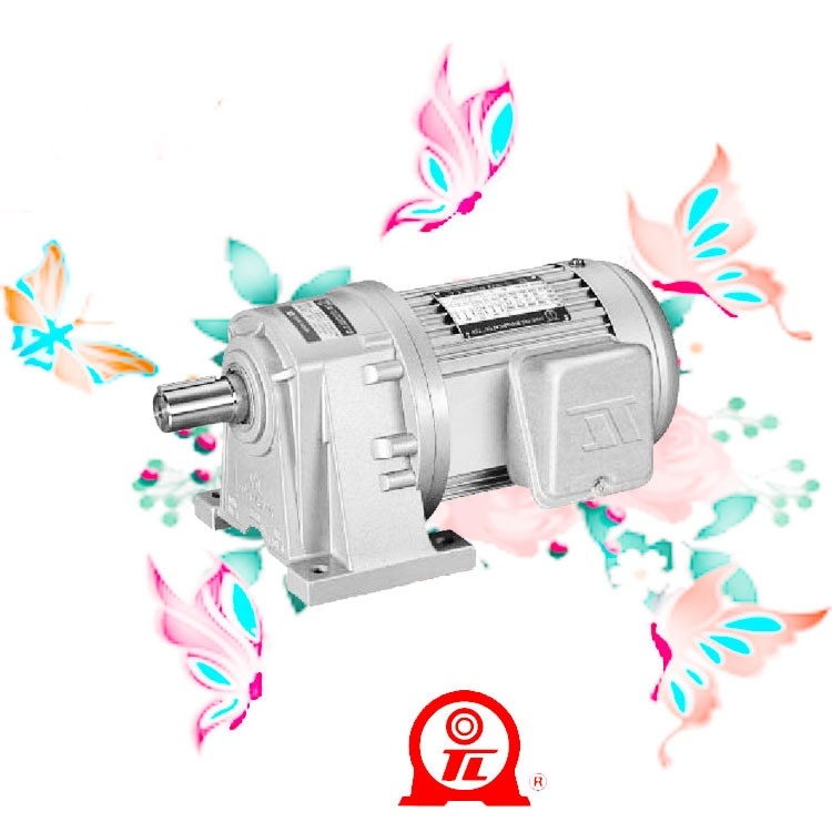 Dongli Motor PL32-0750-30S3 to Maharashtra