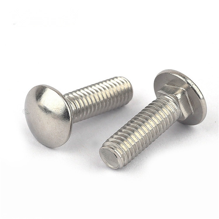 304 Carriage Bolt to Haryana