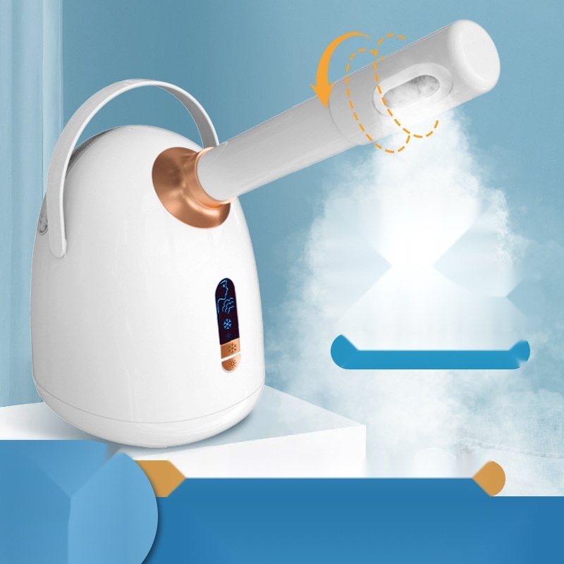 Facial steamer to Punjab