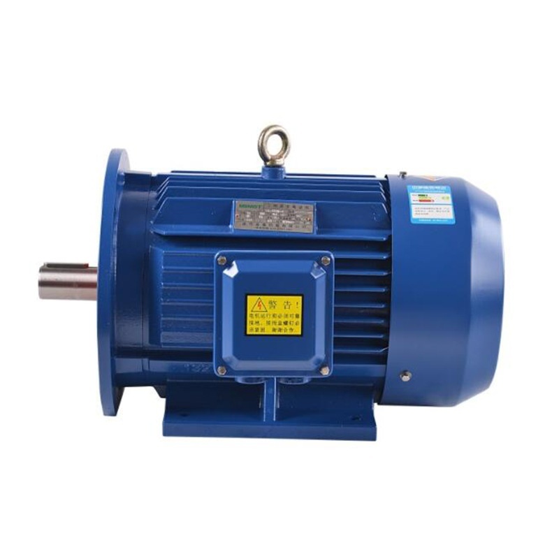 YE3-112M-2 pole 4KW three-phase asynchronous motor to Bihar