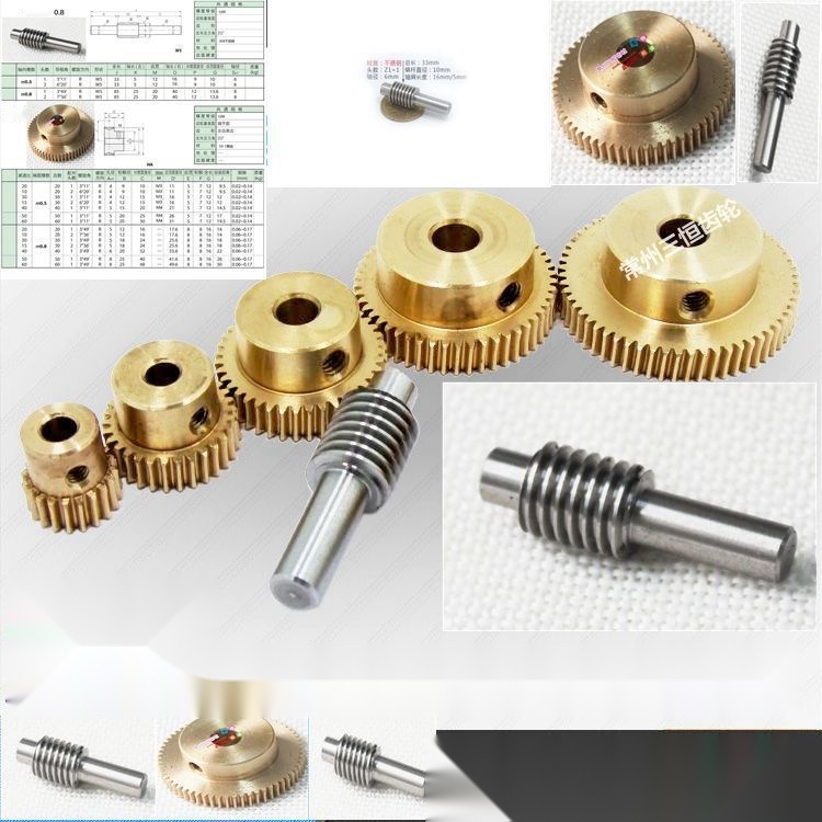 Stainless Steel 304 Worm Gear to Gujarat