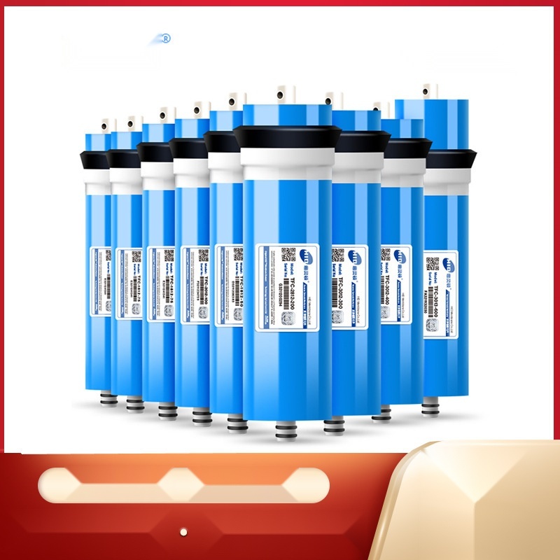 Wellington RO membrane filter to Punjab