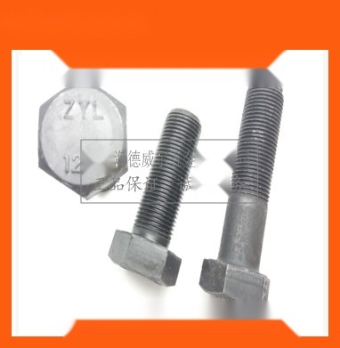 Hexagon head screws to Lakshadweep