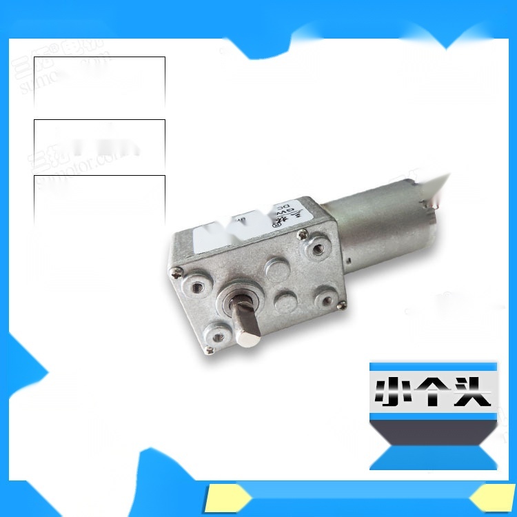 Santuo GW370 Worm Gear Reducer Motor to Delhi