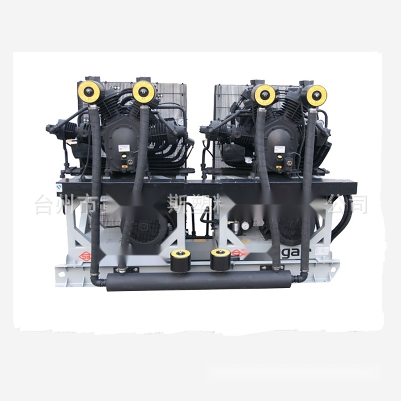 Blow Molding Machine Auxiliary Equipment High-Pressure Piston Air Compressor to Punjab