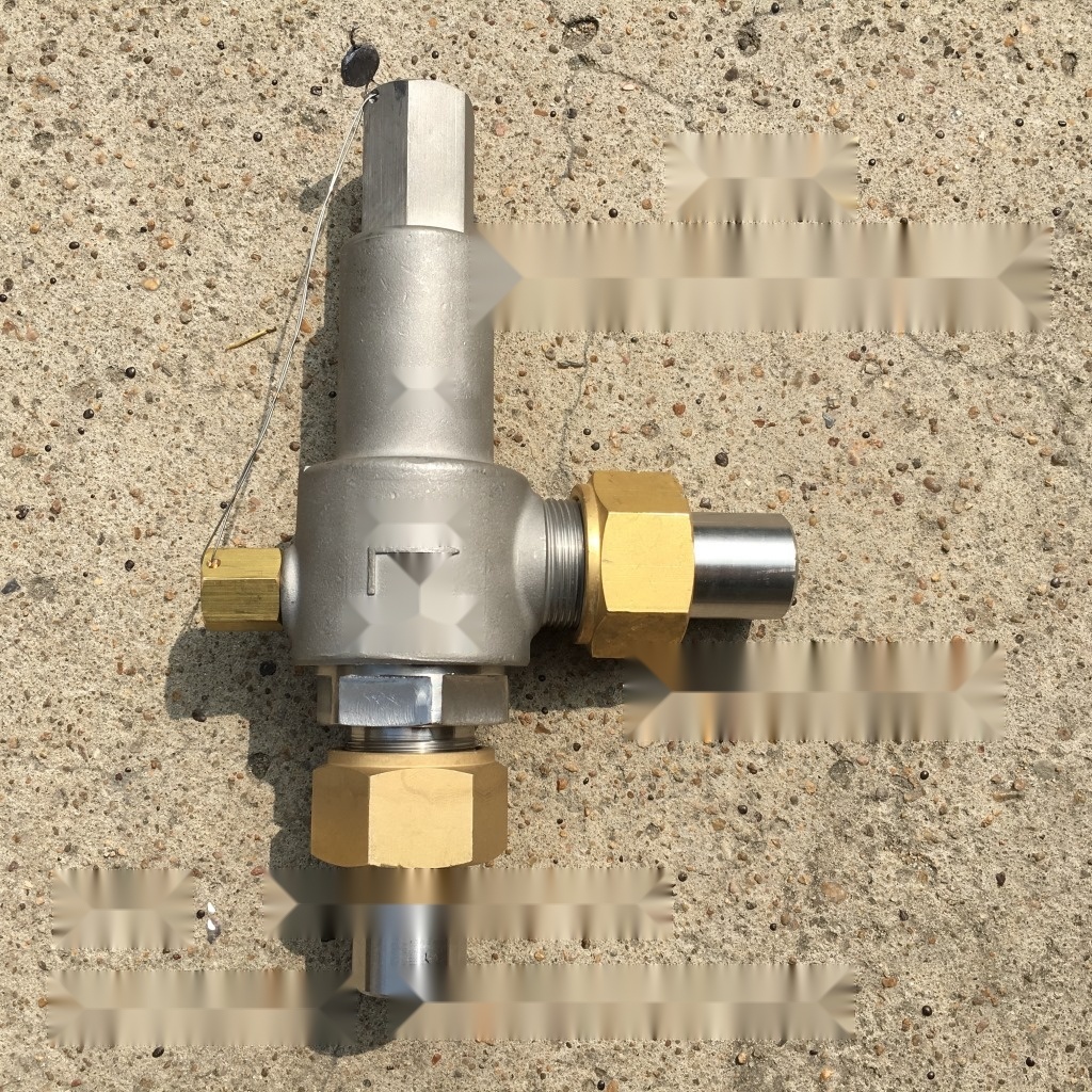 DA22F-40P stainless steel threaded low temperature safety valve to Gujarat