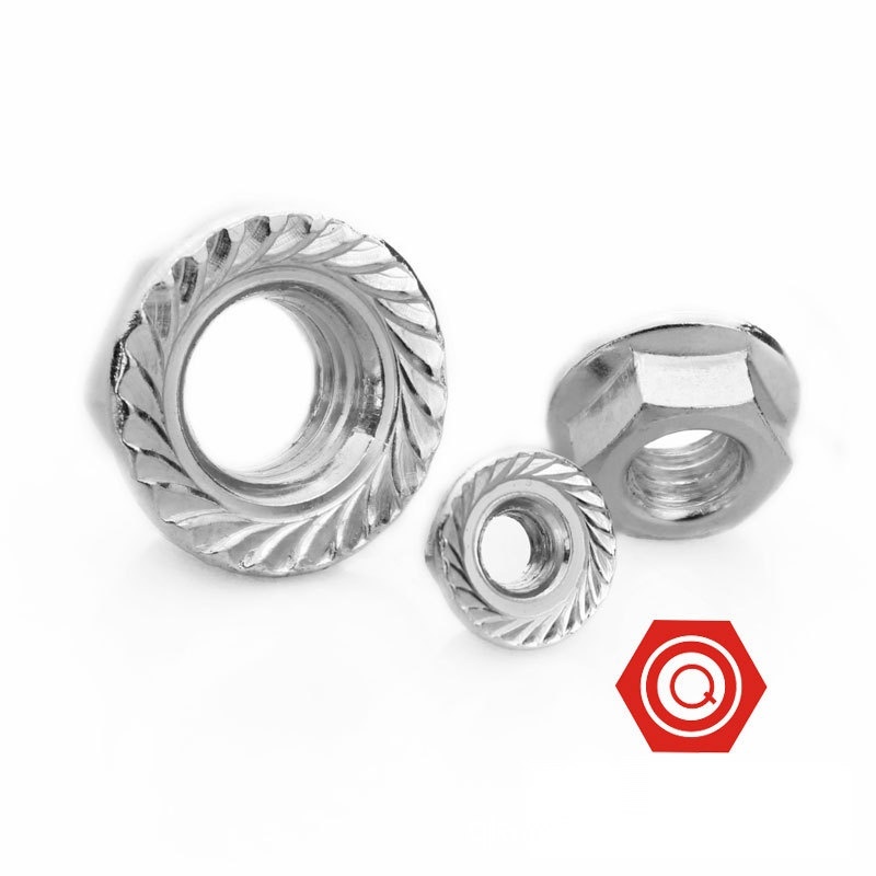 GB6177 hexagon flange nut to Daman and Diu