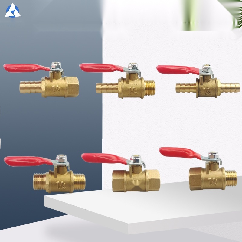 Small ball valve to Madhya Pradesh
