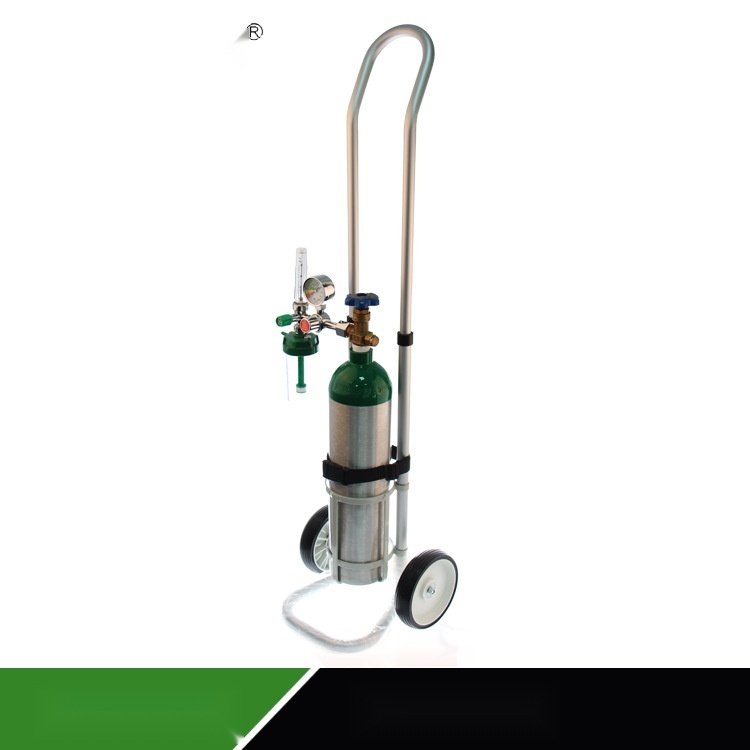 Oxygen cylinder trolley to Madhya Pradesh
