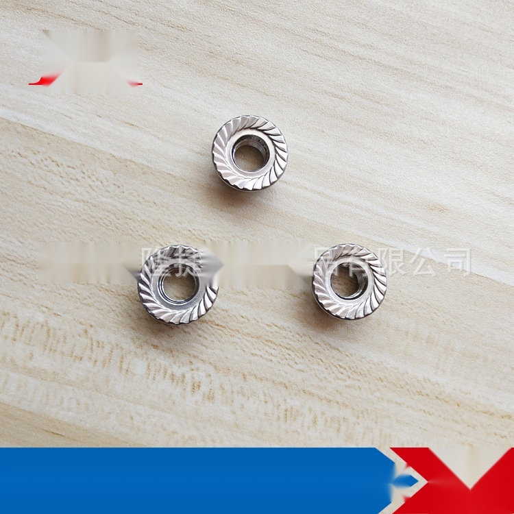 Hex flange nut to Rajasthan