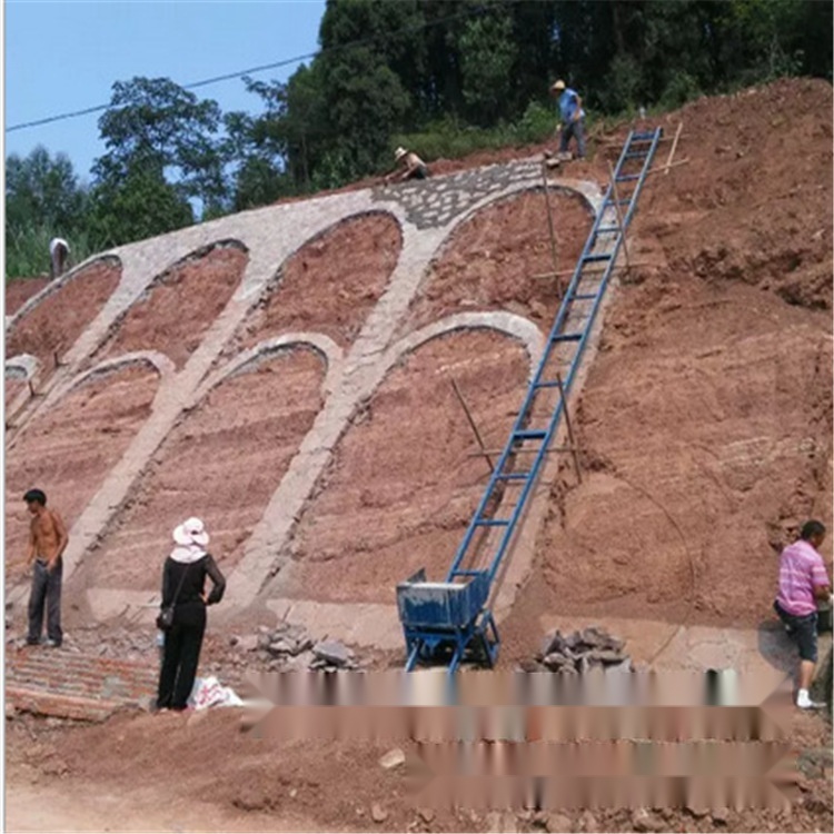climbing material conveyor to Gujarat
