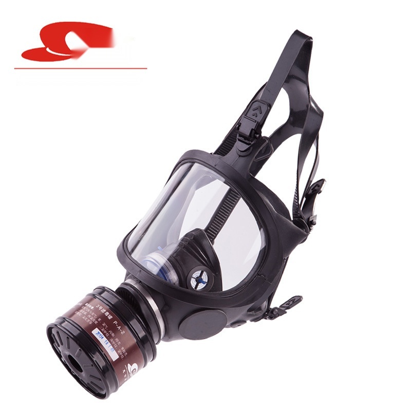 Full-face gas mask to Delhi