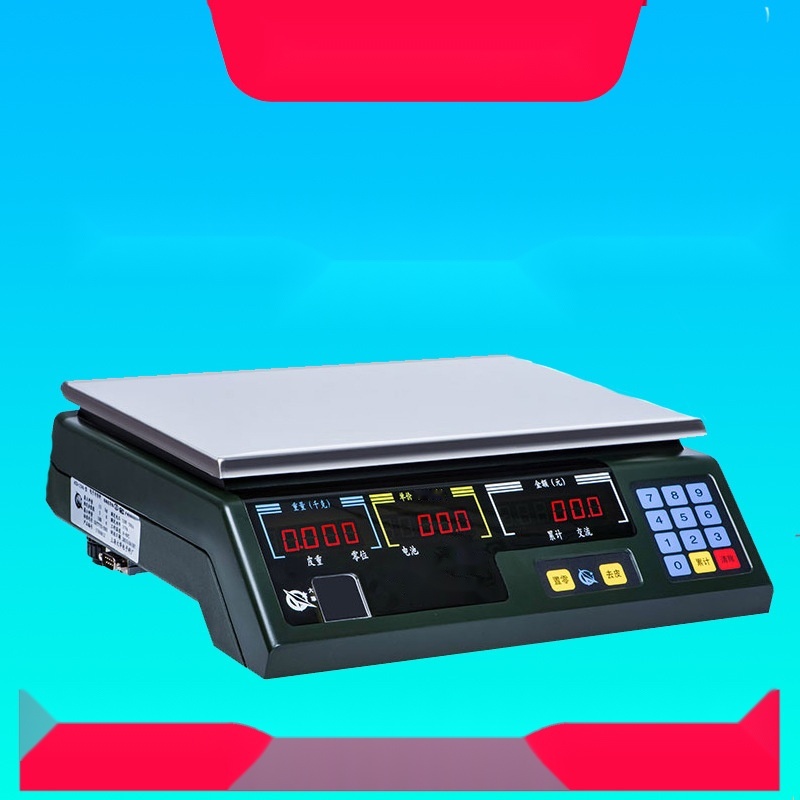 electronic scale to Punjab