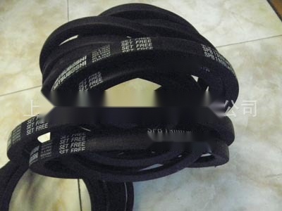 SPB1900LW/5V750 V-belt to Tamil Nadu