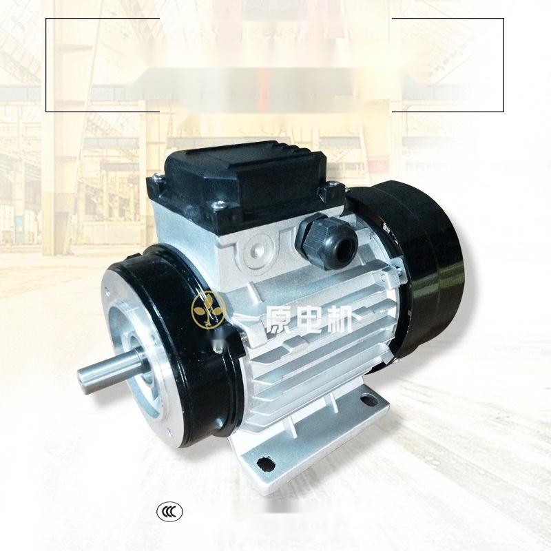 750W Copper Core Horizontal Motor to Bihar