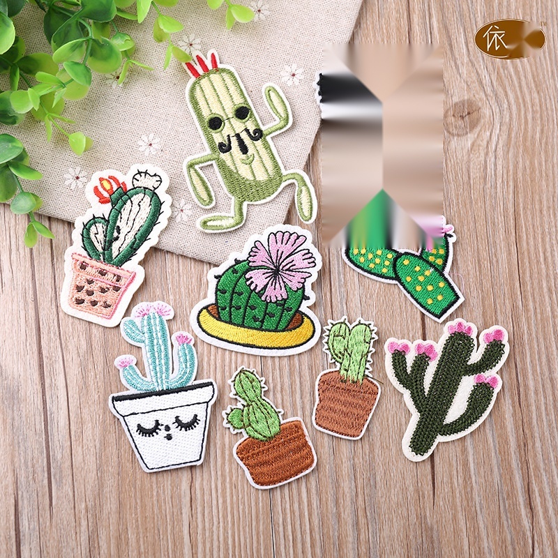 Cactus Patch to Madhya Pradesh