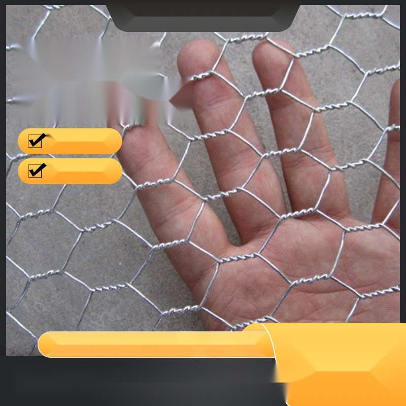 Hexagonal twisted wire mesh to Haryana