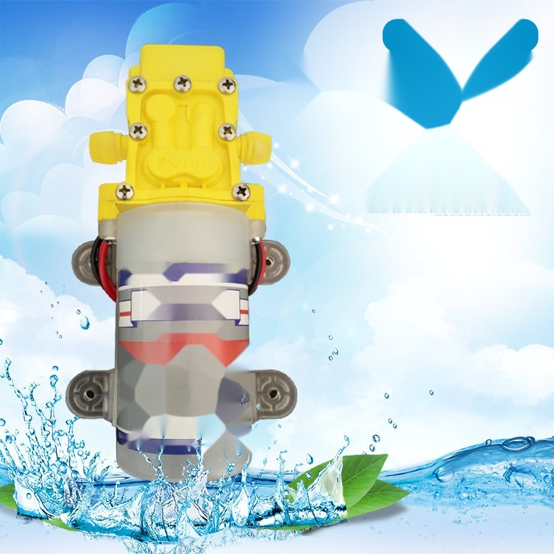 Electric sprayer water pump to Delhi